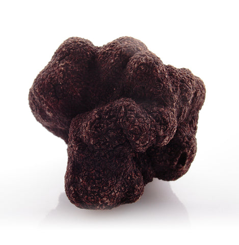 Fresh Winter black truffle