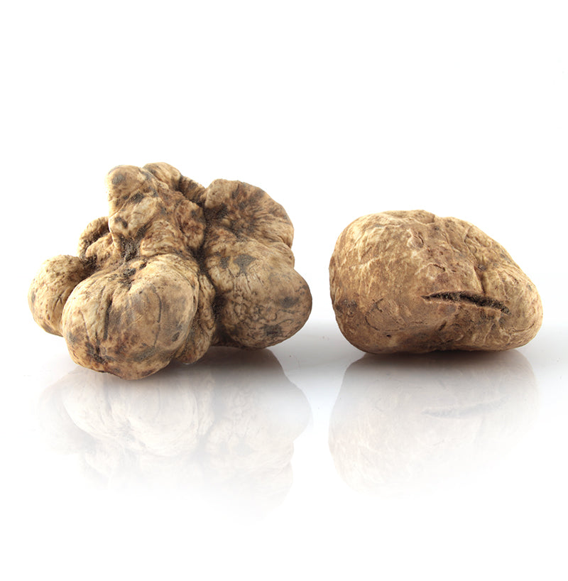 White Truffles