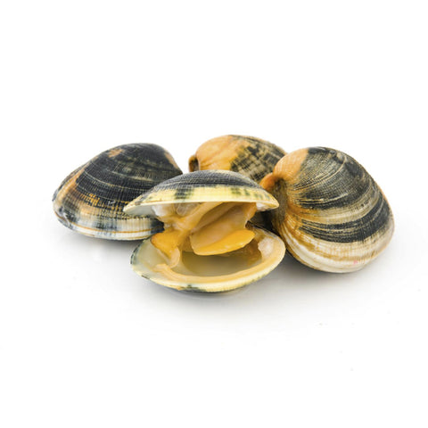 Live Italian Vongole