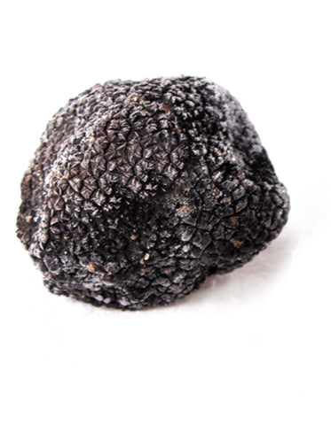 Frozen black truffle