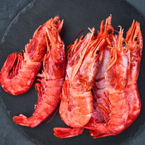 Sicilian Red Prawn