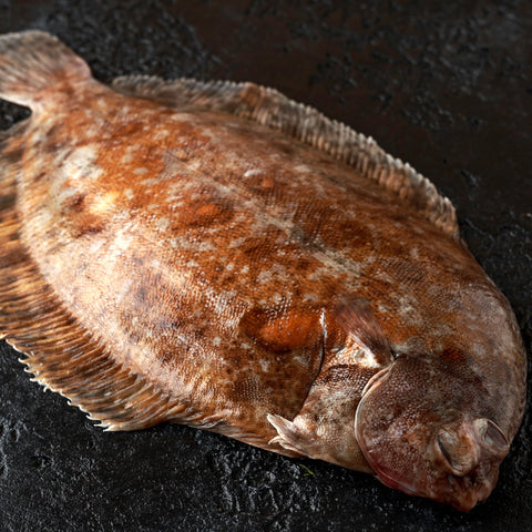 Wild caught fresh Lemon Sole