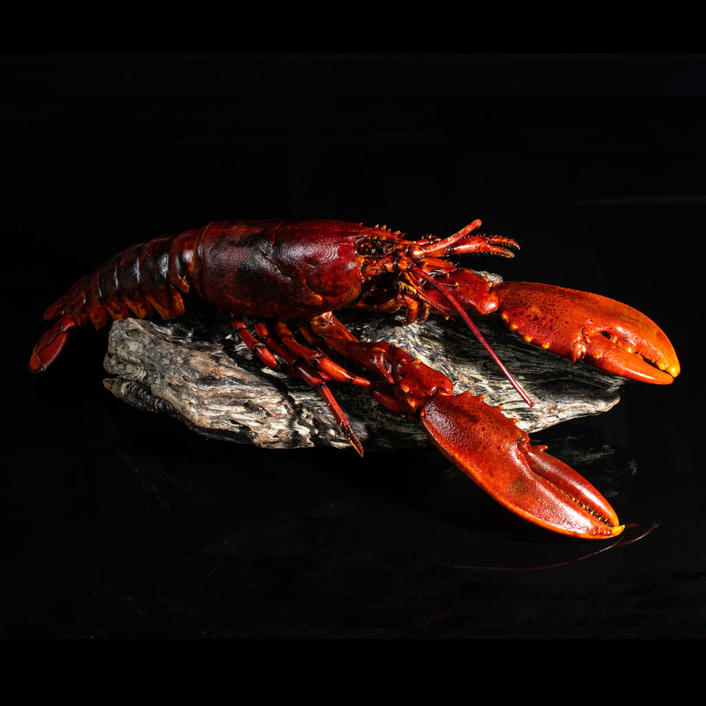 Smoked Blue Lobster